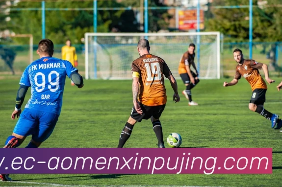 新葡京娱乐平台生态图